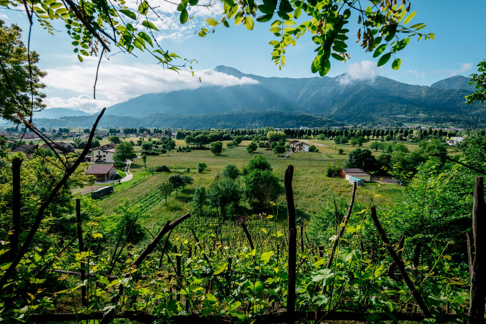 territorio-4