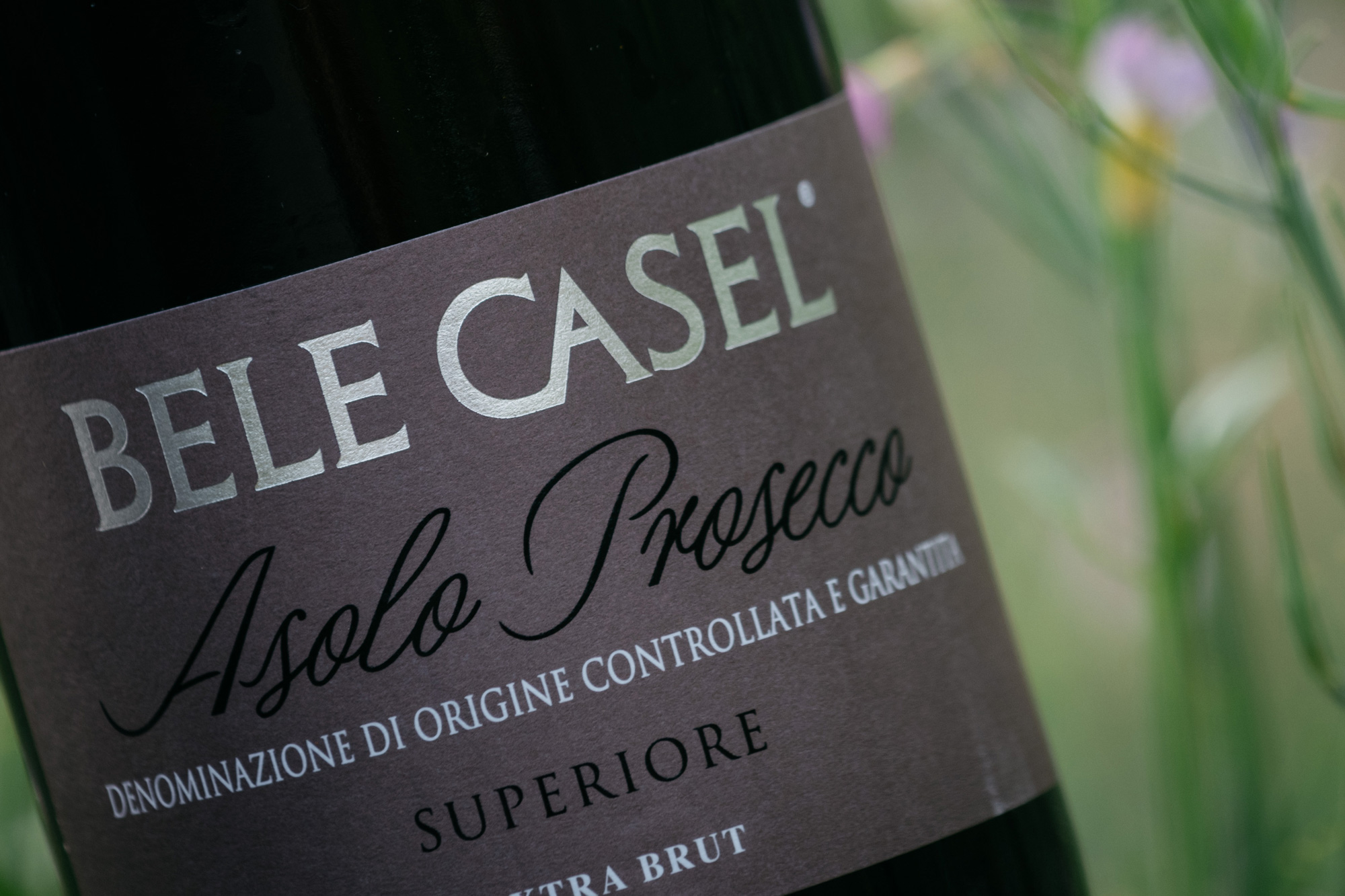 bele-casel-4