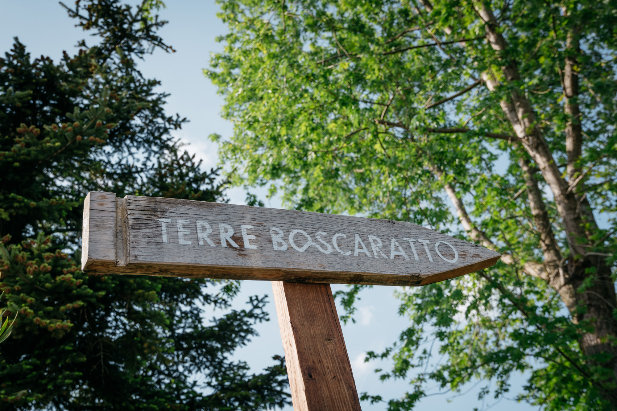 boscaratto-2