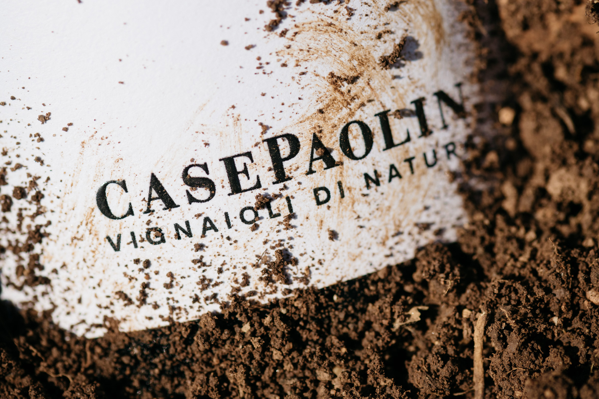 case-paolin-6