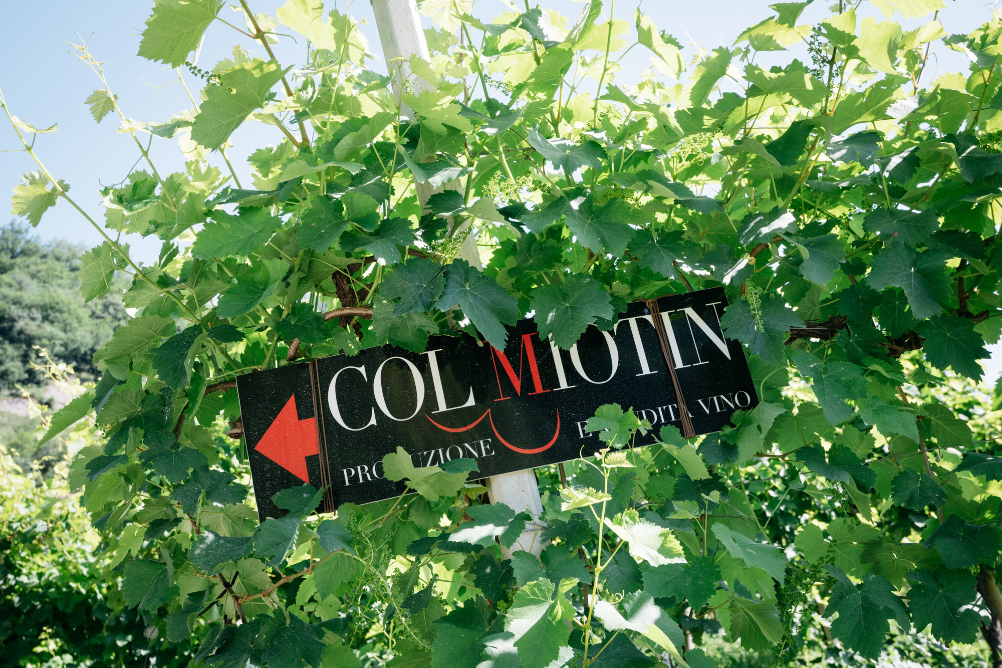 col-miotin-2