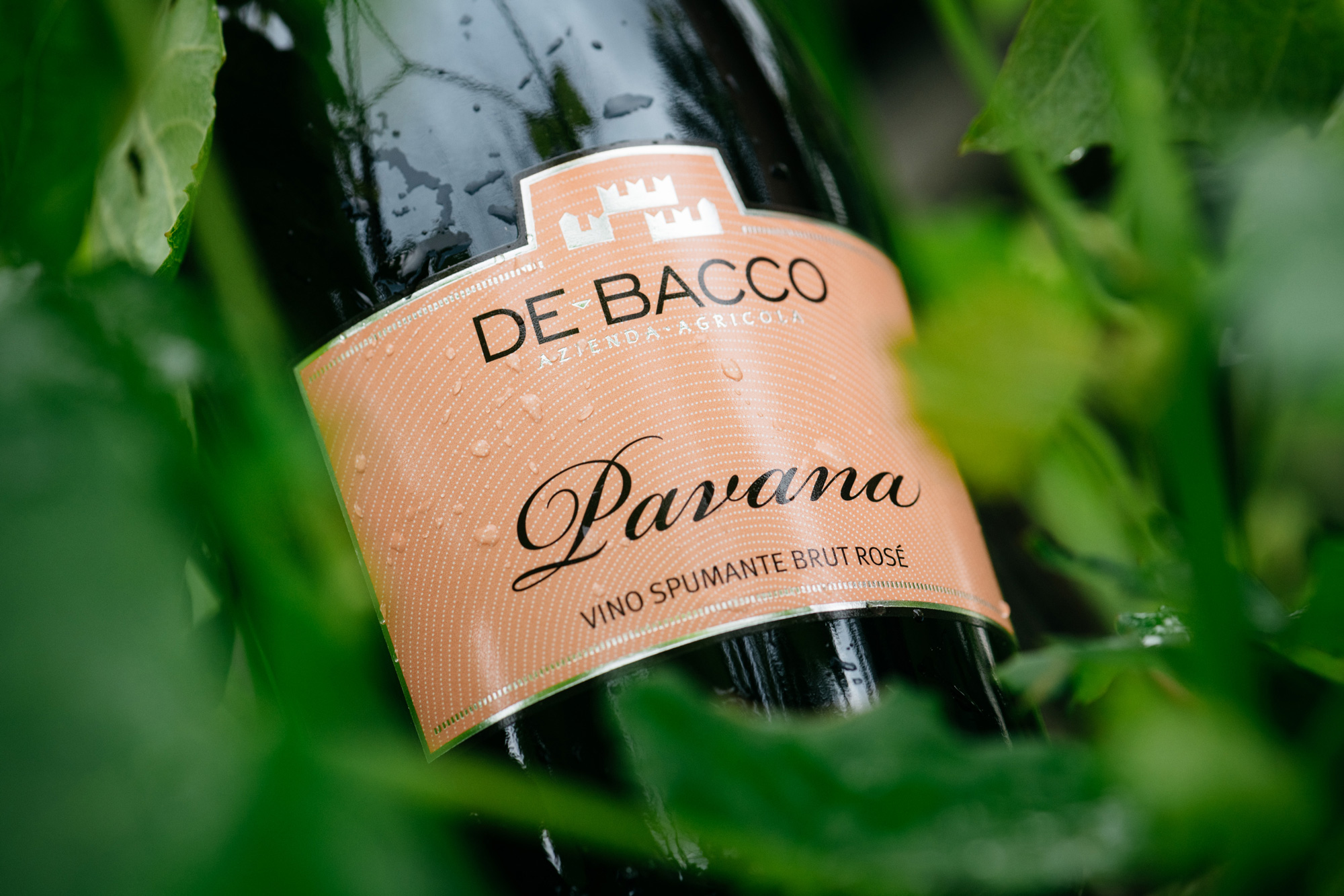 de-bacco-3