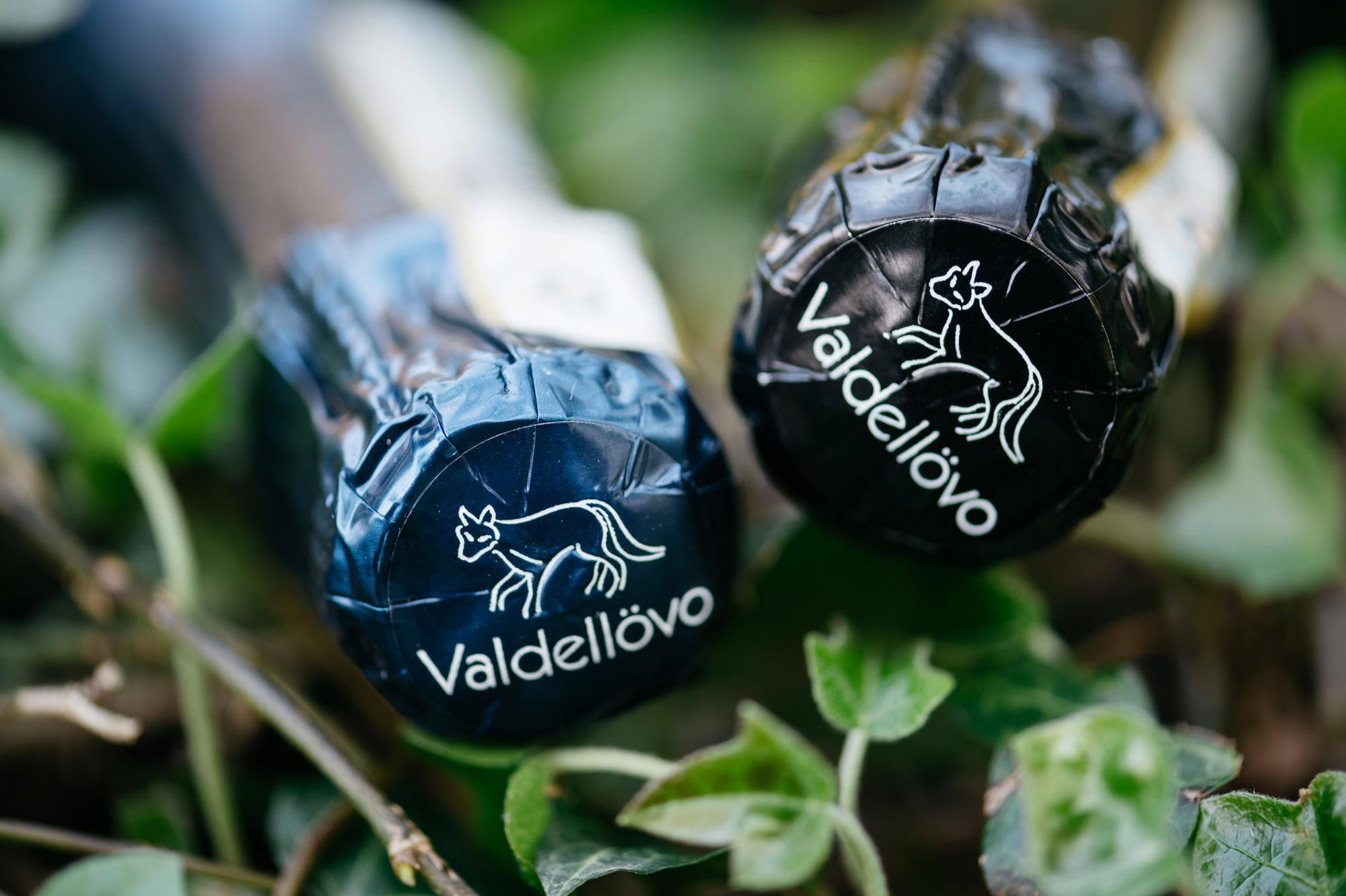 valdellovo-2