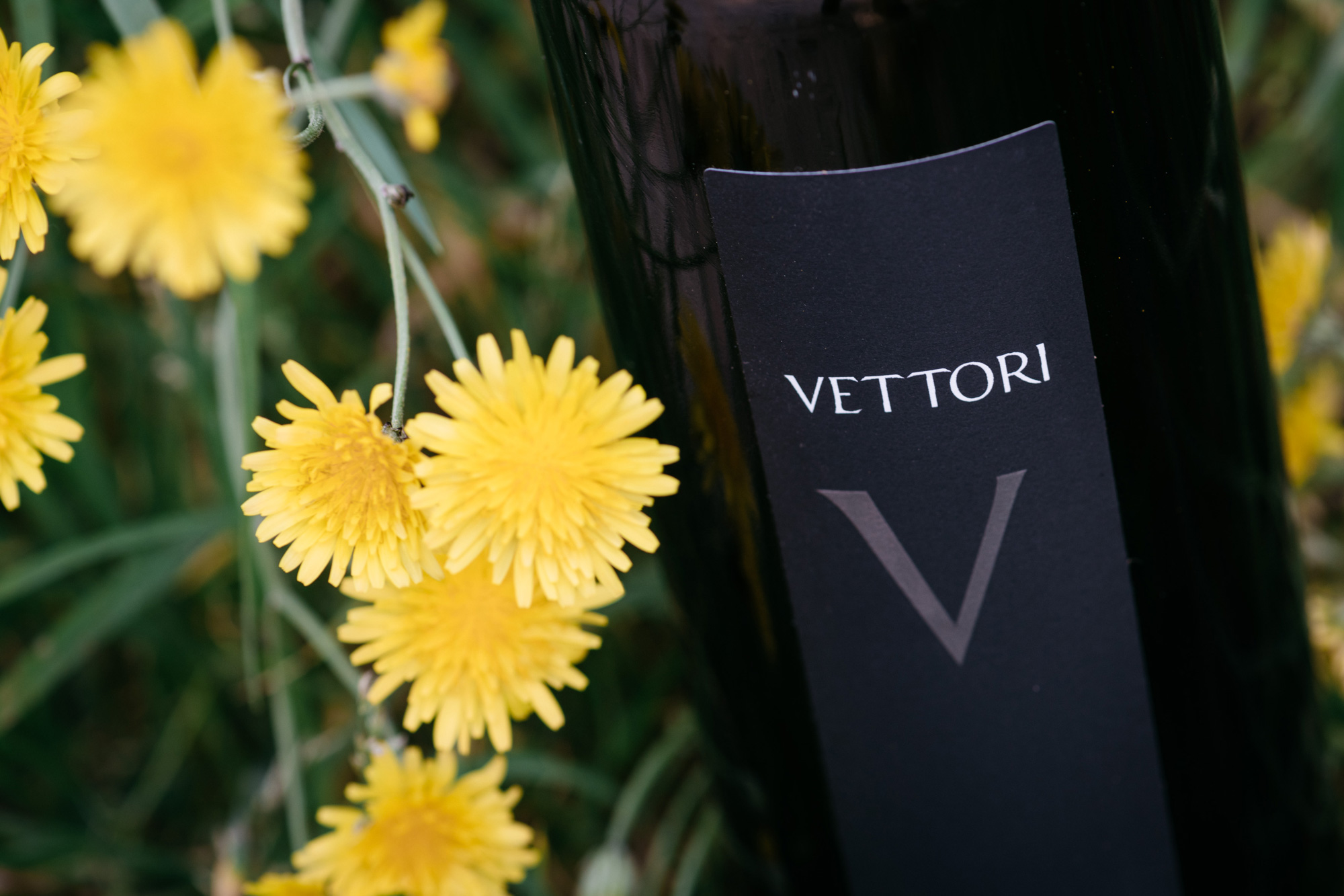 vettori-6